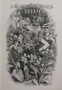 One of the beautiful illustrations in the set (for A Midsummer Nights Dream)