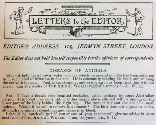 ANWO Letters to Editor