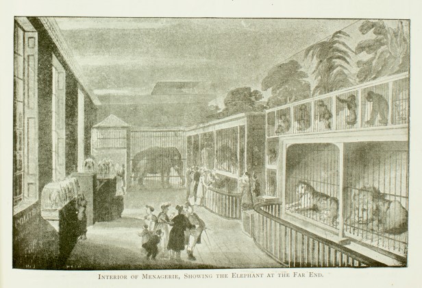 C19_PICM1894_14 copy