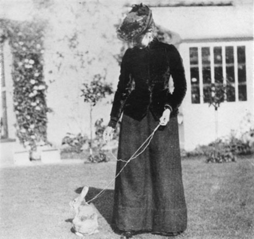 Screen Shot 2017-07-21 at 10.44.44