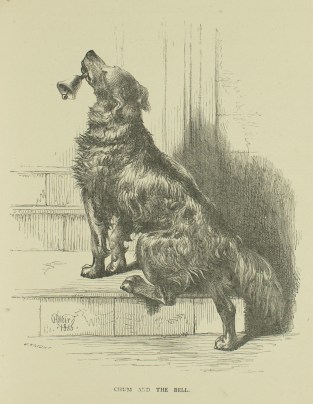 C19_ANSA1868_11 copy