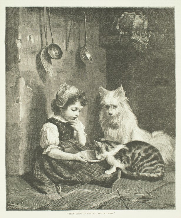 C19_ANWO1890_04 copy