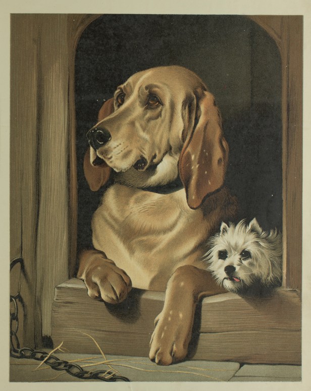 C19_LAN1882_08 copy copy